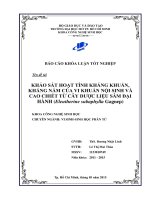 Khảo sát hoạt tính kháng khuẩn, kháng nấm của vi khuẩn nội sinh và cao chiết từ cây dược liệu sâm đại hành (eleutherine subaphylla gagnep) 