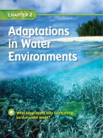 California science grade 3 (7) 