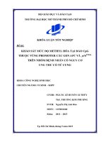 Khảo sát mức độ methyl hóa tại đảo cpg thuộc vùng promoter các GEN ABC và p16IN4α trên nhóm bệnh nhân có nguy cơ ung thư cổ tử cung 