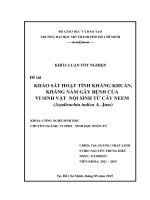 Khảo sát hoạt tính kháng khuẩn, kháng nấm gây bệnh của vi sinh vật nội sinh từ cây neem (azadirachta indica a  juss)