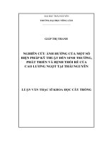 Nghiên cứu ảnh hưởng của một số biện pháp kỹ thuật đến sinh trưởng, phát triển và bệnh thối rễ của cao lương ngọt tại Thái Nguyên (LV thạc sĩ)