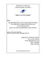 Hỗ trợ định danh các mẫu nấm ký sinh côn trùng dựa trên phân tích phát sinh chủng loài và cấu trúc bậc hai gene mrLSU (nuclear ribosomal large subunit)  