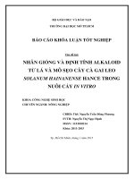 Nhân giống và định tính alkaloid từ lá và mô sẹo cây cà gai leo solanum hainanense hance trong nuôi cấy in vitro 