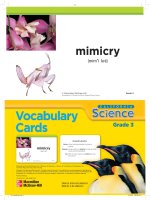 California science vocabulary card(1 6) (3)