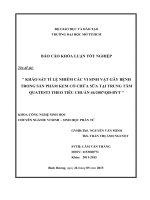 Khảo sát tỷ lệ nhiễm các vi sinh vật gây bệnh trong sản phẩm kem có chứa sữa tại trung tâm quatest3 theo tiêu chuẩn 462007qđ BYT 