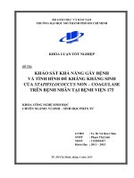 Khảo sát khả năng gây bệnh và tình hình đề kháng kháng sinh của staphylococcus non   coagulase trên bệnh nhân tại bệnh viện 175 