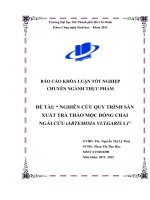 Nghiên cứu quy trình sản xuất trà thảo mộc đóng chai ngãi cứu (artemisia vulgaris l )