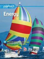 California science grade 3 (12) 