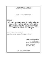 Hỗ trợ định danh các mẫu nấm ký sinh côn trùng bằng phân tích phát sinh chủng loài dựa trên vùng gen nrLSU và rpb1 
