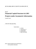 Financial Capital Structure in LBO Projects under Asymmetric Information
