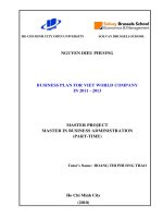 Business plan for viet world company in 2011   2013  