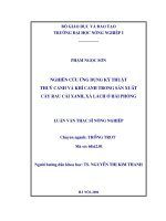 Nghiên cứu ứng dụng kỹ thuật thuỷ canh và khí canh trong sản xuất cây rau cải xanh, xà lách ở hải phòng
