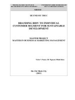 Branding BIDV to individual customer segment for sustainable development 