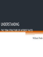 UNDERSTANDING THE TERM STRUCTURE OF INTEREST RATES