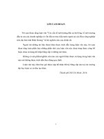 Các yếu tố ảnh hưởng đến sự hài lòng về môi trường đầu tư của các doanh nghiệp có vốn đầu tư trực tiếp nước ngoài tại các khu công nghiệp trên địa bàn tỉnh bình dương 