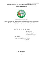 ĐỂ CƯƠNG NGHIÊN CỨU Tên đề tài: Nghiên cứu, đánh giá rủi ro của kim loại nặng Pb và Cd trong nước đối với loài cá chép Cyprinus carpiro ở quy mô phòng thí nghiệm