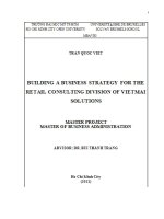 Building a business strategy for the retail consulting division of vietmai solutions 