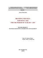 Branding strategy for hura player cake for the period of year 2011 2015  master project in business and marketing management 