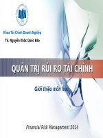 QUẢN TRỊ RỦI RO TÀI CHÍNH