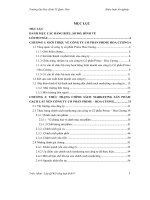 Hoàn thiện chính sách marketing sản phẩm gạch lát nền của công ty cổ phần prime hoa cương