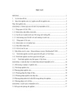 Nghiên cứu ảnh hưởng của Chì (Pb) đến một số đặc điểm sinh học của loài ốc cincta  Macrochlamys cincta, Moellendorff, 1883