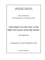 TỔNG HỢP VẬT LIỆU MÀU XANH TRÊN NỀN MẠNG TINH THỂ SPINEL
