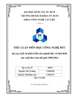 Lịch sử phát triển của ngành đúc và tình hình sản xuất đúc trên thế giới 1990 2014