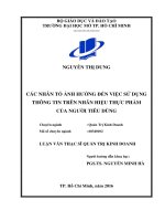 Các nhân tố ảnh hưởng đến việc sử dụng thông tin trên nhãn hiệu thực phẩm của người tiêu dùng 