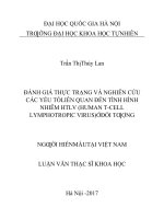 ĐÁNH GIÁ THỰC TRẠNG và NGHIÊN cứu các yếu tố LIÊN QUAN đến TÌNH HÌNH NHIỄM HTLV (HUMAN t CELL LYMPHOTROPIC VIRUS) ở đối TƢỢNG NGƢỜI HIẾN máu tại VIỆT NAM