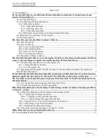 BÁO CÁO ĐỀ CUẤT CHỦ TRƯƠNG ĐẦU TƯ CÔNG TRÌNH CẦU ĐƯỜNG.DOC