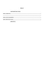 THUYẾT MINH TỔ CHỨC XÂY DỰNG DỰ ÁN VÀ BẢNG TIẾN ĐỘ TỔNG THỂ DỰ ÁN CÔNG TRÌNH CẦU ĐƯỜNG