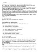 Cơ chế tác động của kháng sinh