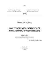 How to increase penetration of nokia in rural of vietnam in 2012 