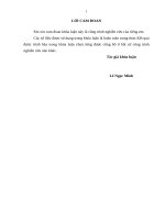 KIỂM SOÁT NỘI BỘ HOẠT ĐỘNG TÍN DỤNG TẠI NGÂN HÀNG TECHCOMBANK  CHI NHÁNH HOÀNG GIA