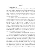 Quản lý hoạt động kiểm tra, đánh giá kết quả học tập của học sinh ở trường THPT Búng Lao, huyện Mường Ảng, tỉnh Điện Biên theo định hướng phát triển năng lực