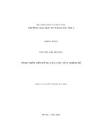 Tính chất đối xứng của các nửa nhóm số (Khóa luận tốt nghiệp)