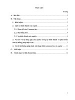 Anhchị hãy trình bày hiểu biết về pháp luật công bằng (equity) trong hệ thống pháp luật Anh