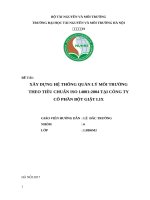 XÂY DỰNG HỆ THỐNG QUẢN LÝ MÔI TRƯỜNG  THEO TIÊU CHUẨN ISO 14001:2004 TẠI CÔNG TY  CỔ PHẦN BỘT GIẶT LIX