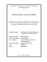 BÁO CÁO THỰC TẬP TỐT NGHIỆP: NGHIÊN CỨU ĐA DẠNG SINH HỌC Ở VƯỜN QUỐC GIA BA VÌ, THUỘC HUYỆN BA VÌ HÀ NỘI