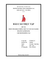 PHÂN TÍCH HOẠT ĐỘNG CHO VAY sản XUẤT KINH DOANH