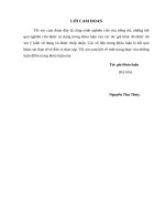 HOÀN THIỆN KẾ TOÁN DOANH THU, CHI PHÍ VÀ XÁC ĐỊNH KẾT QUẢ KINH DOANH TẠI CÔNG TY TNHH AN ĐIỀN