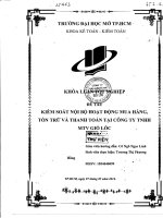 Kiểm soát nội bộ hoạt động mua hàng, tồn trữ và thanh toán tại công ty trách nhiệm hữu hạn một thành viên gió lốc 