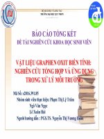 Slide báo cáo đề tài: VẬT LIỆU GRAPHEN OXIT BIẾN TÍNH NGHIÊN CỨU TỔNG HỢP VÀ ỨNG DỤNG TRONG XỬ LÝ MÔI TRƯỜNG