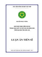 Giải pháp giảm thiểu rủi ro trong sản xuất cà phê cho hộ nông dân trên địa bàn tỉnh Đăk Lăk (LA tiến sĩ)