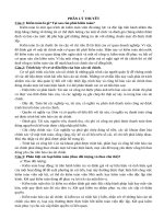 tai lieu huong dan on tap ly thuyet kiem toan can ban