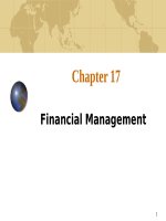 International business 7e czinkota moffett ch17 