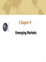 International business 7e czinkota moffett ch09 