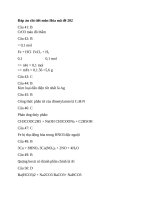 Đáp án chi tiết môn Hóa mã đề 202