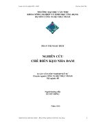 Luận văn nghiên cứu chế biến kẹo nha đam 