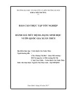 BÁO CÁO THỰC TẬP TỐT NGHIỆP : ĐÁNH GIÁ MỨC ĐỘ ĐA DẠNG SINH HỌC  VƯỜN QUỐC GIA XUÂN THỦY